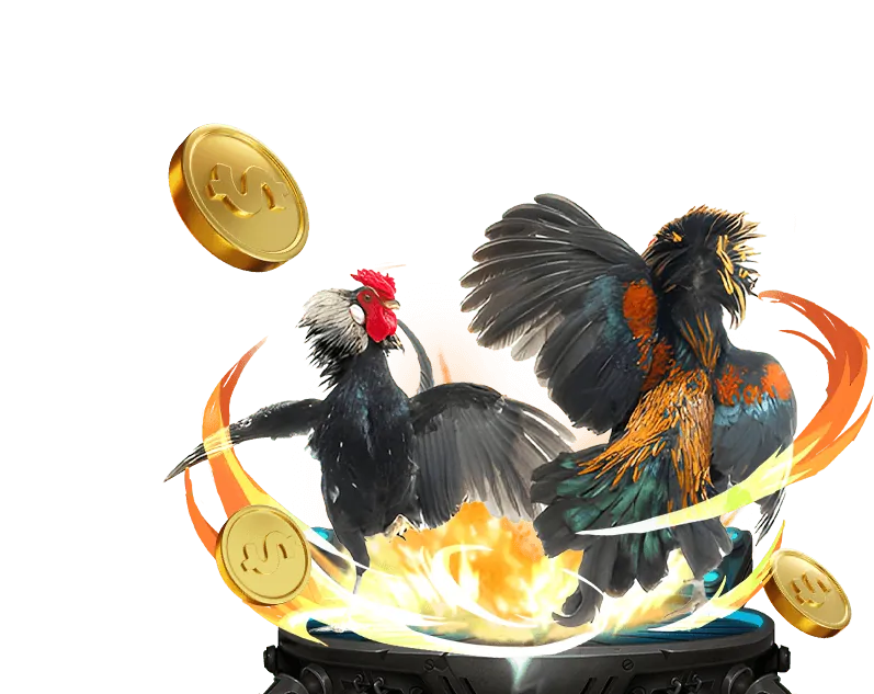 Hình ảnh lợi ích nền tảng 2bongcom